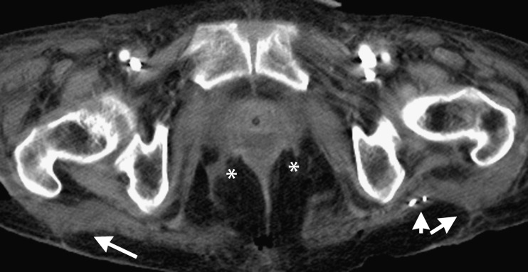 Fig. 7