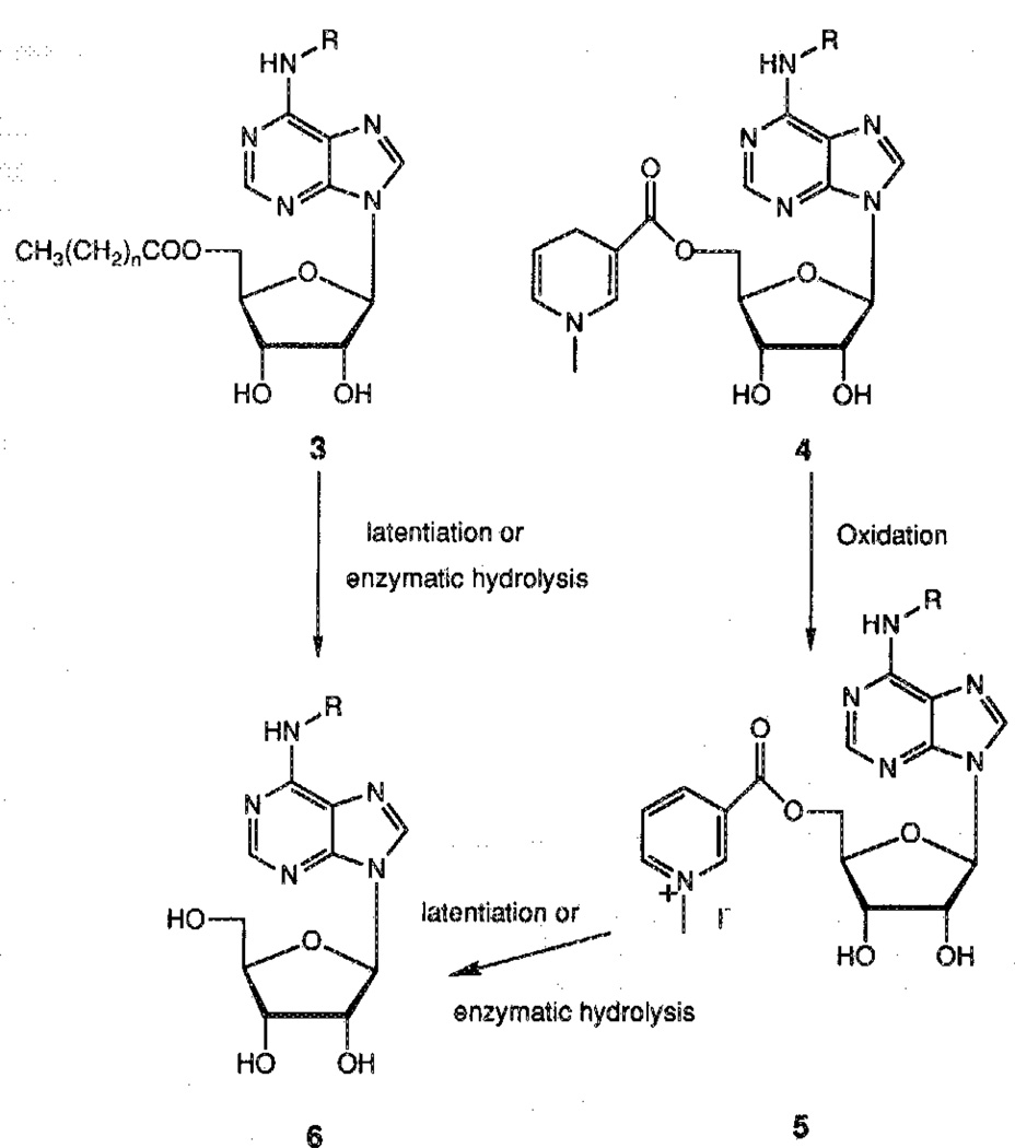 Scheme 1