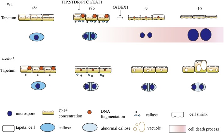 Figure 10.