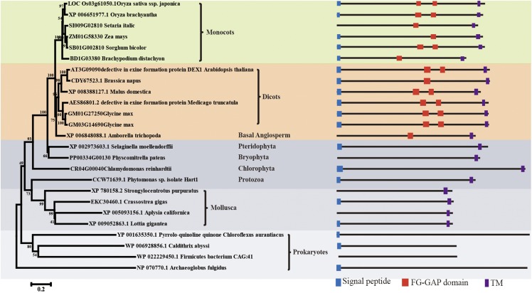 Figure 6.