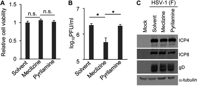 FIG 7