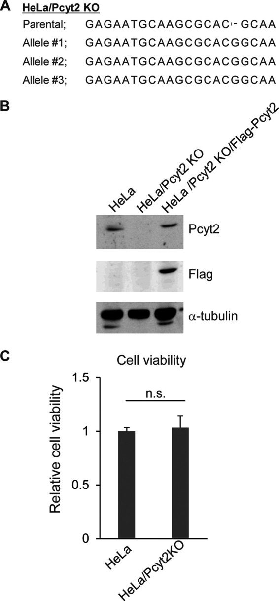 FIG 1