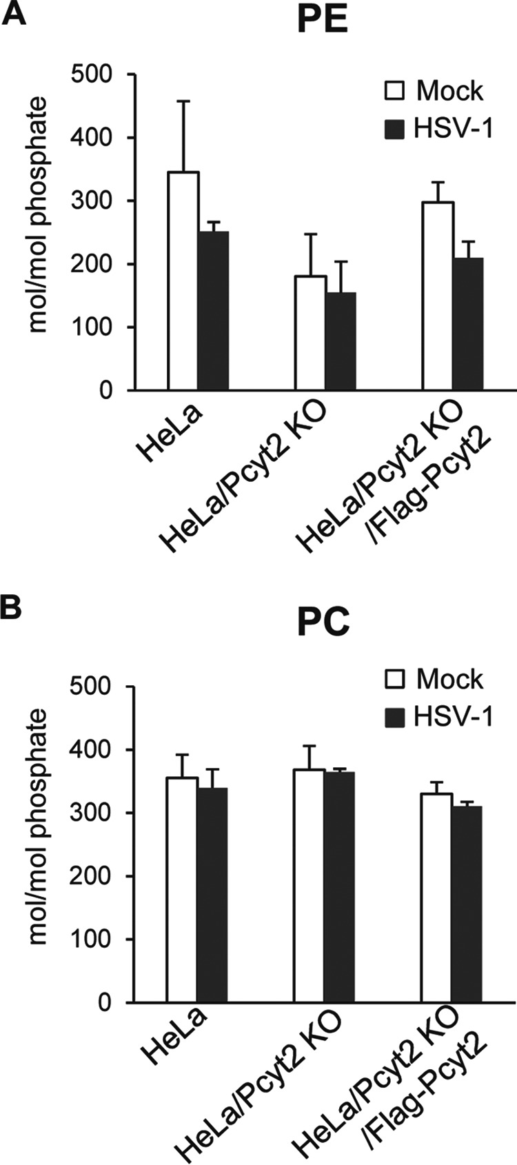 FIG 2