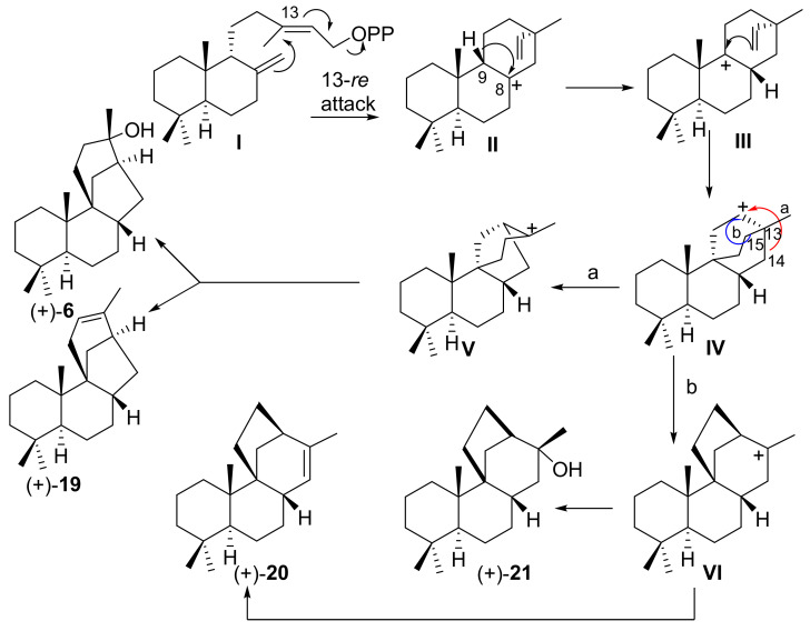 Scheme 3