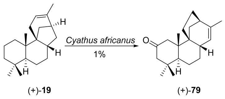 Scheme 7