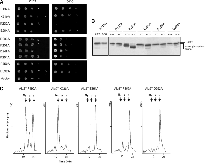 FIGURE 7.