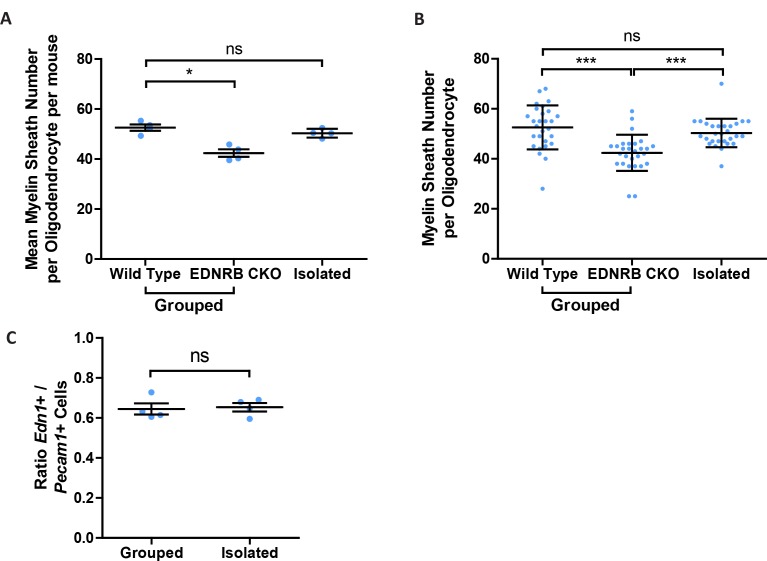 Figure 1—figure supplement 3.