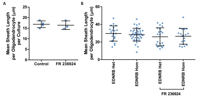 Figure 5—figure supplement 3.