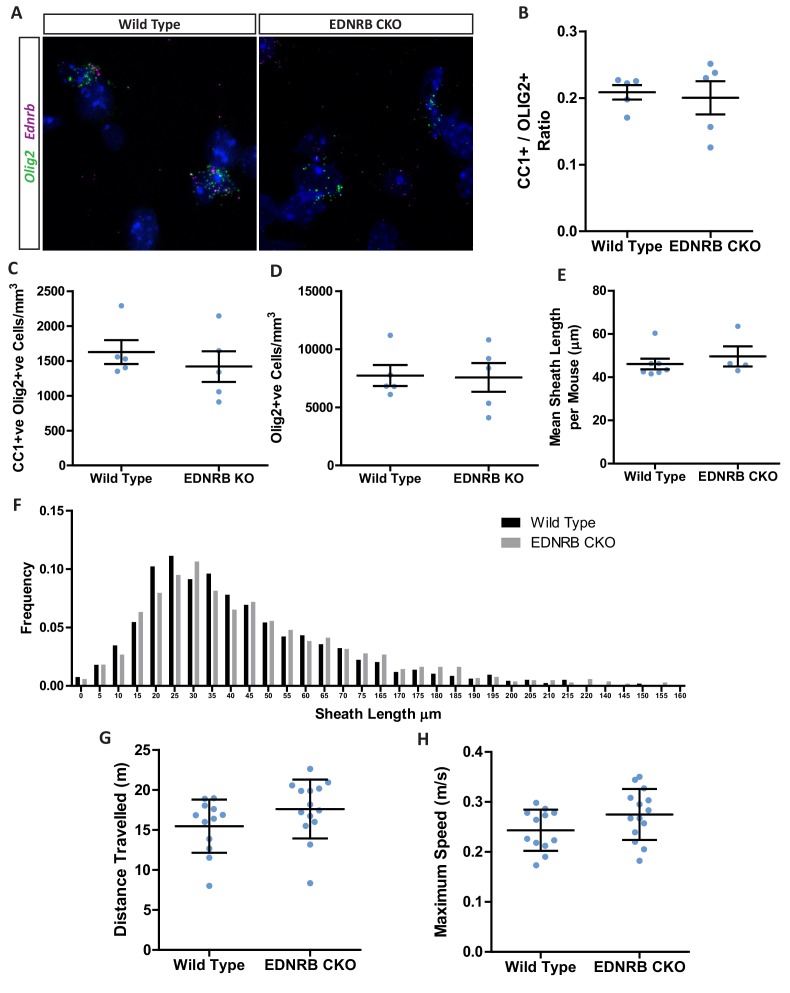 Figure 3—figure supplement 1.