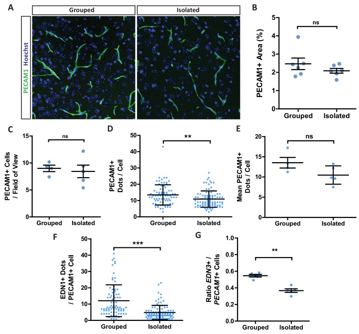 Figure 2—figure supplement 2.