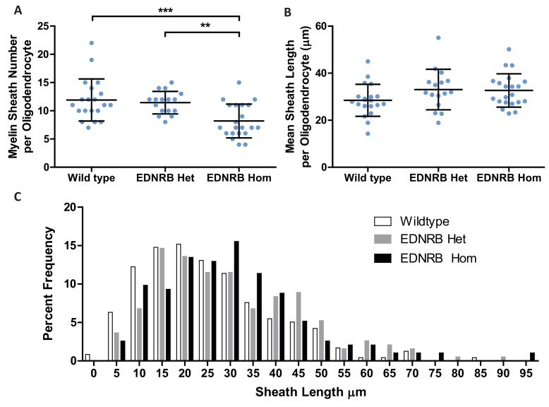 Figure 5—figure supplement 2.