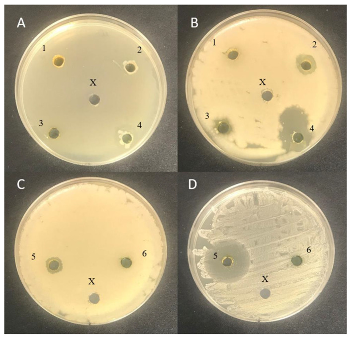 Figure 5