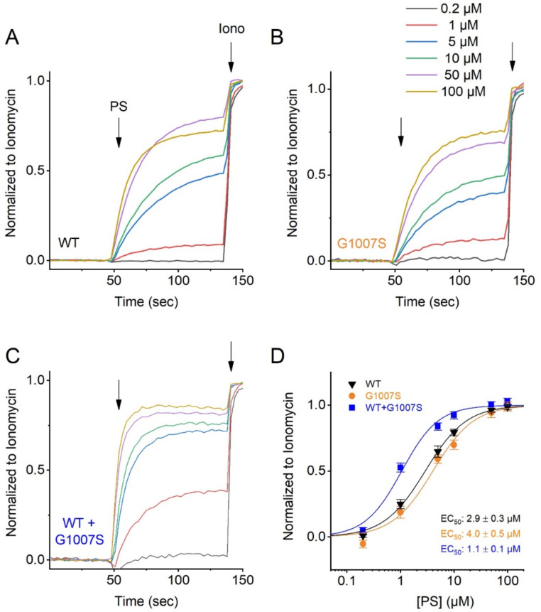 Figure 3—figure supplement 3.