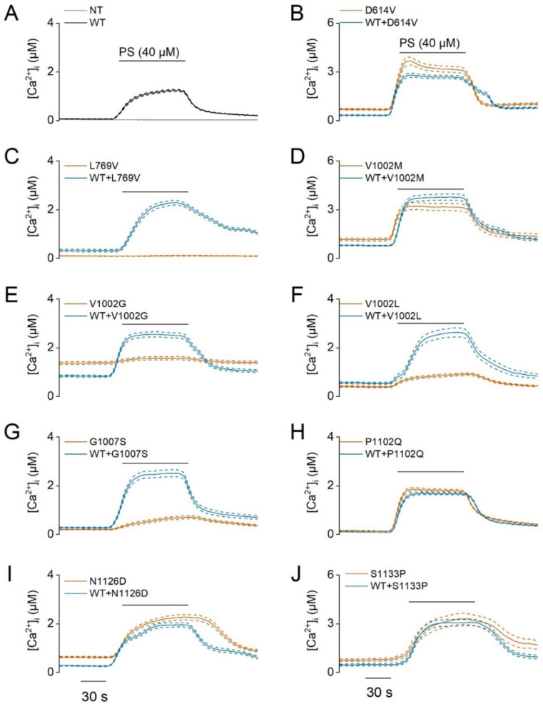 Figure 3—figure supplement 2.