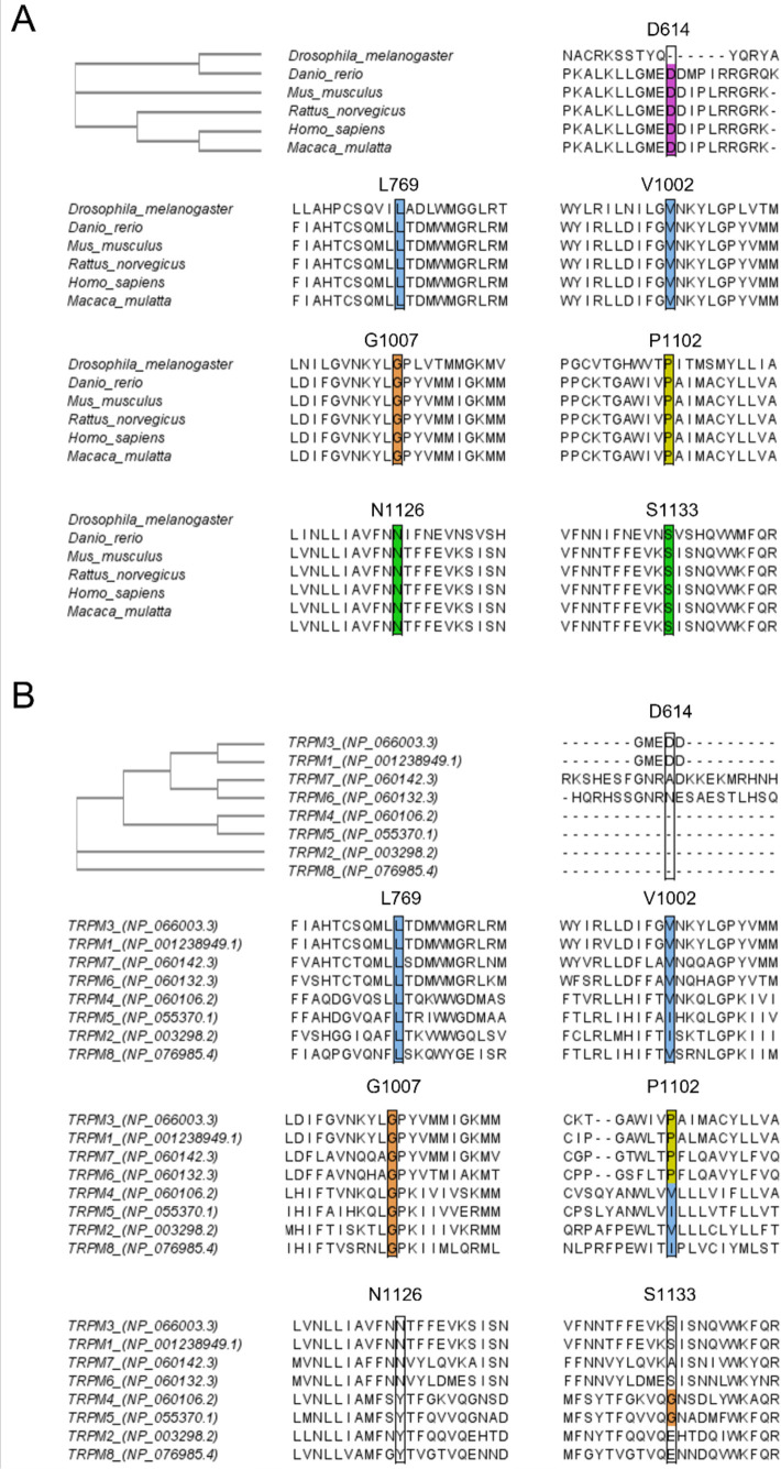 Figure 1—figure supplement 3.