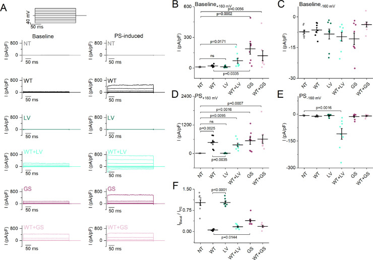 Figure 4—figure supplement 3.