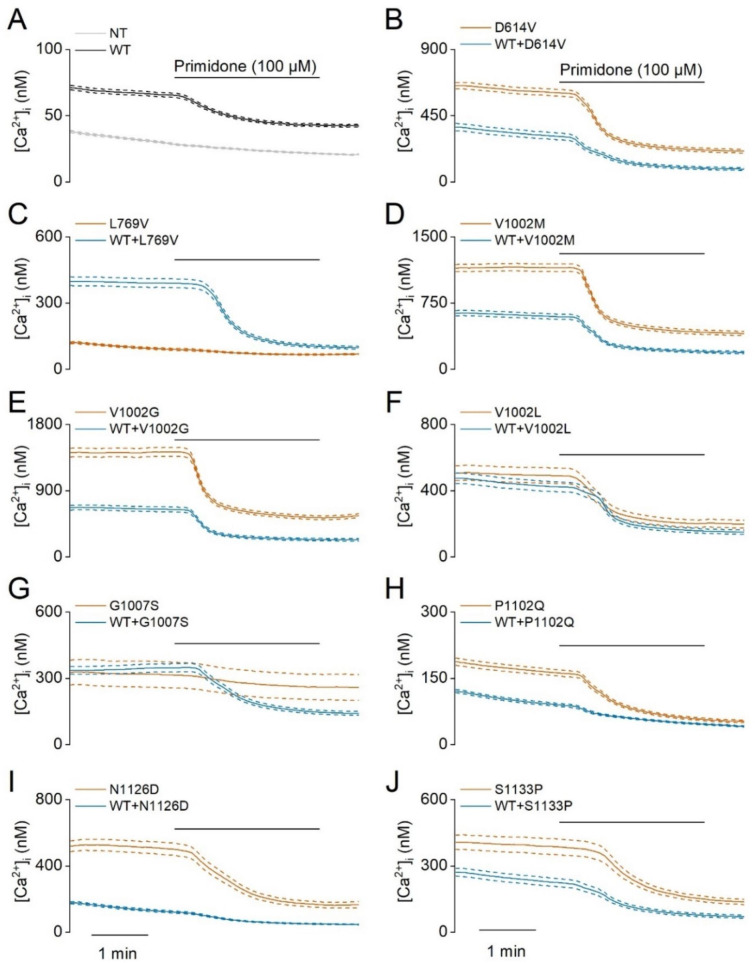 Figure 3—figure supplement 1.