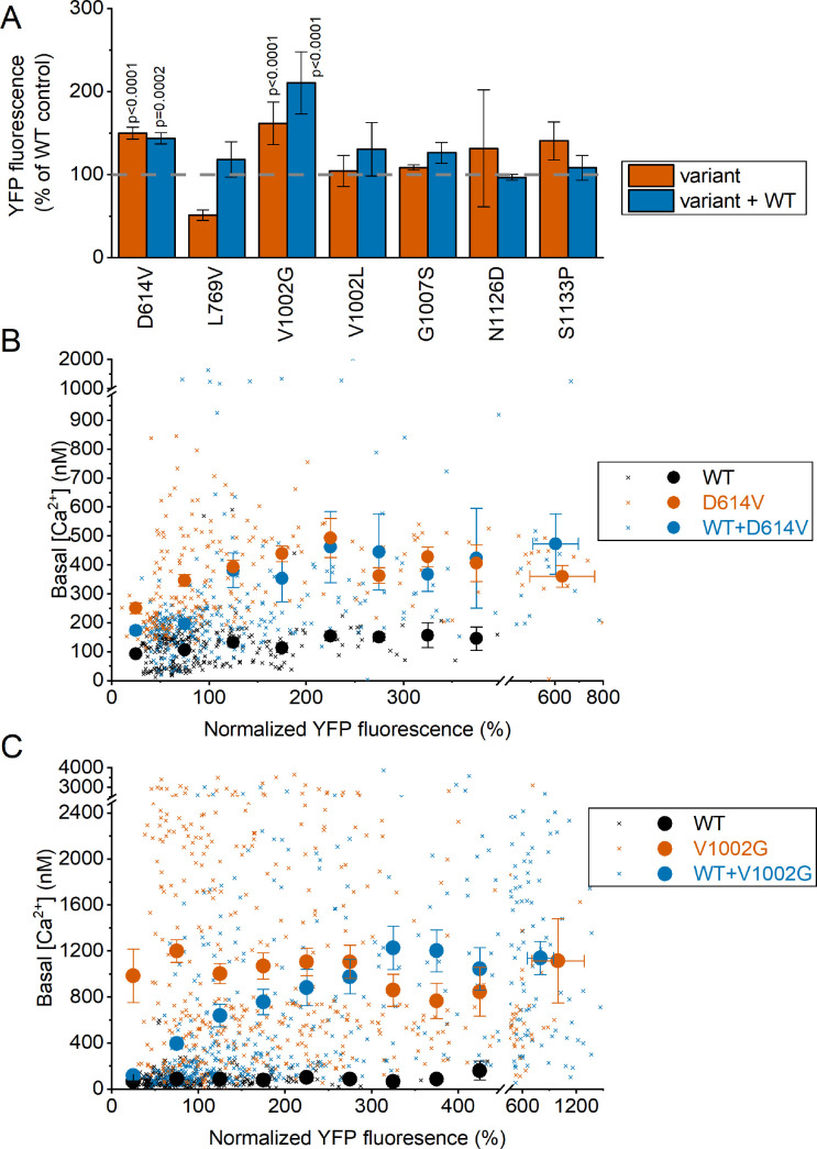 Figure 3—figure supplement 4.