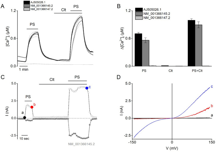 Figure 1—figure supplement 1.