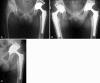 Fig. 4A–C