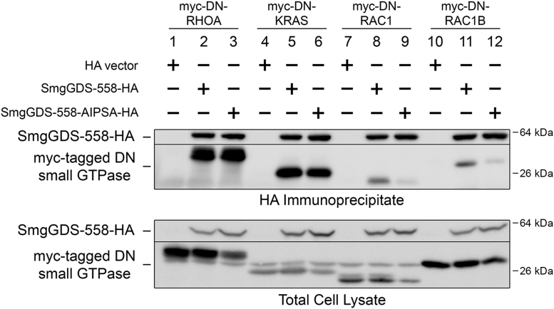 Figure 3