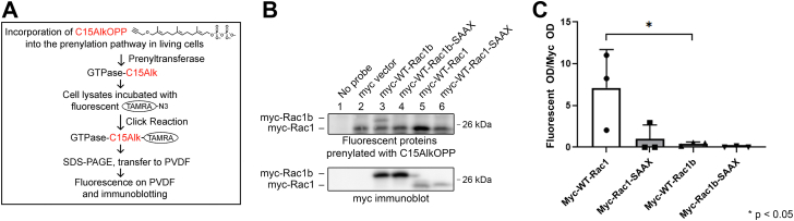 Figure 7