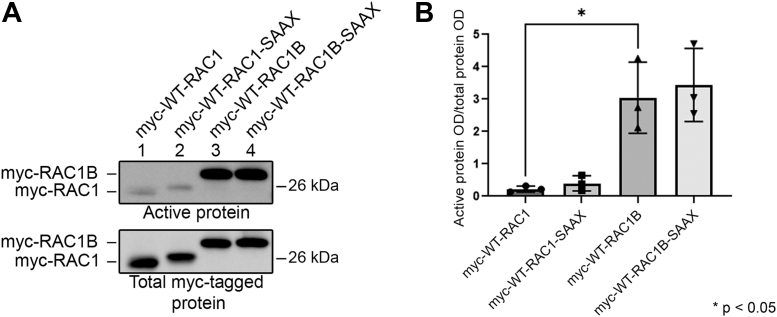 Figure 10