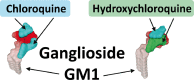 Image, graphical abstract