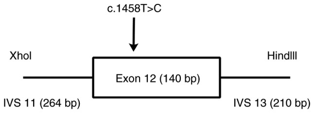 Figure 2.