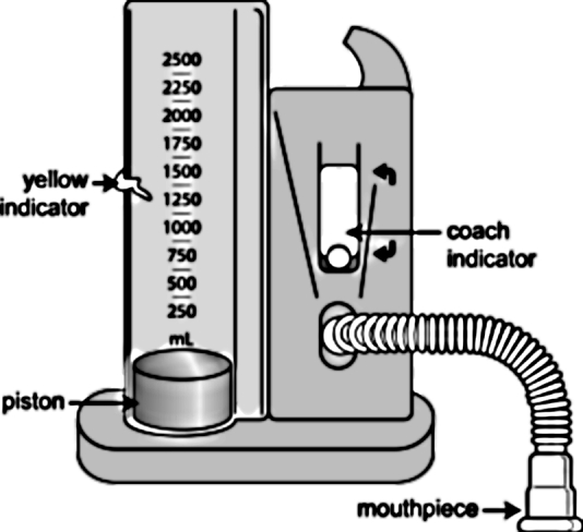 Figure 5: