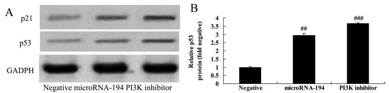 Figure 12.