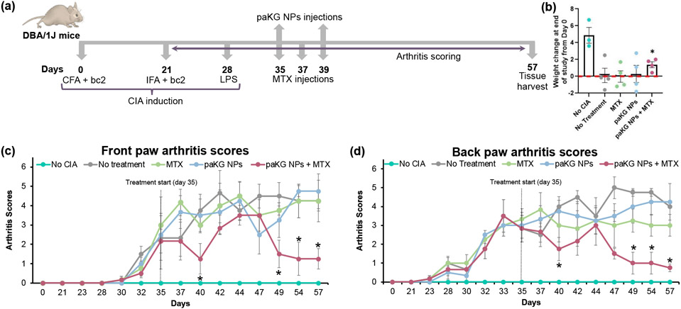 Figure 3: