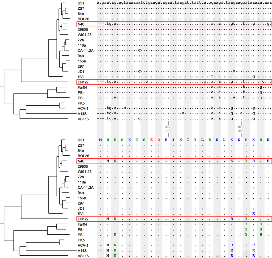 Figure 6