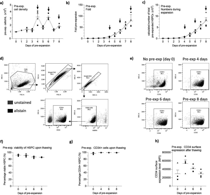 Figure 3—figure supplement 1.