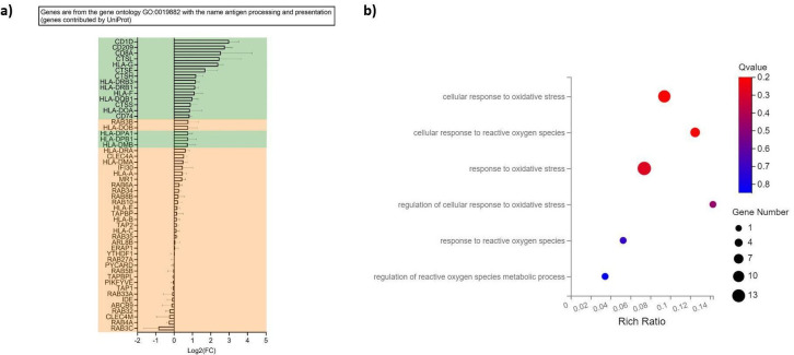 Figure 5—figure supplement 1.