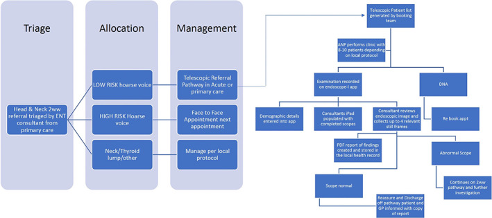 FIGURE 1