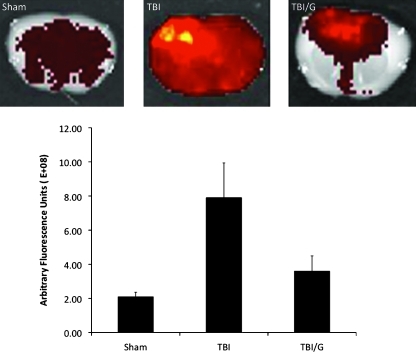 FIG. 2.