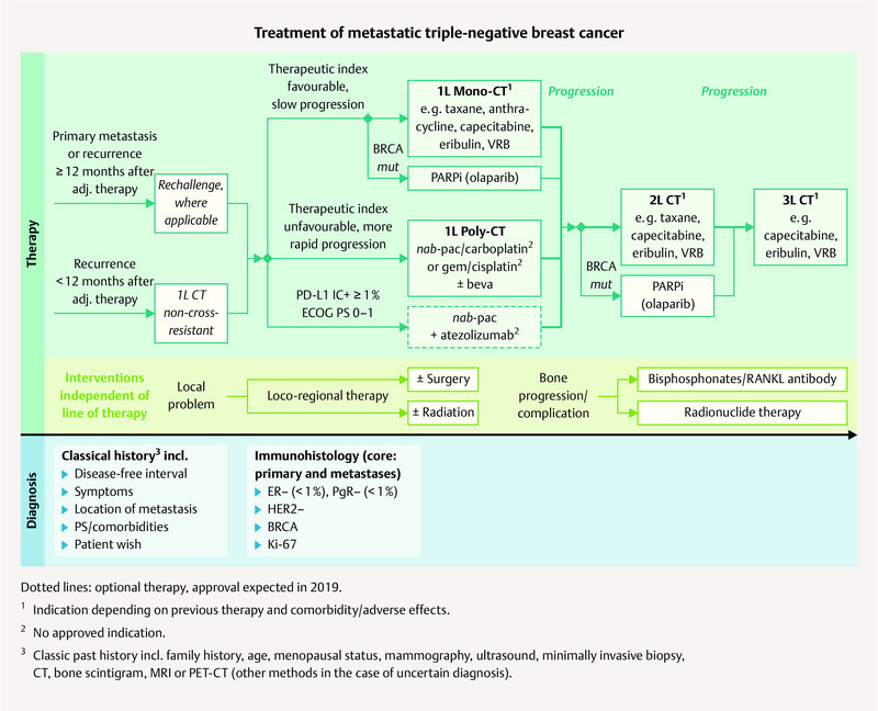 Fig. 2