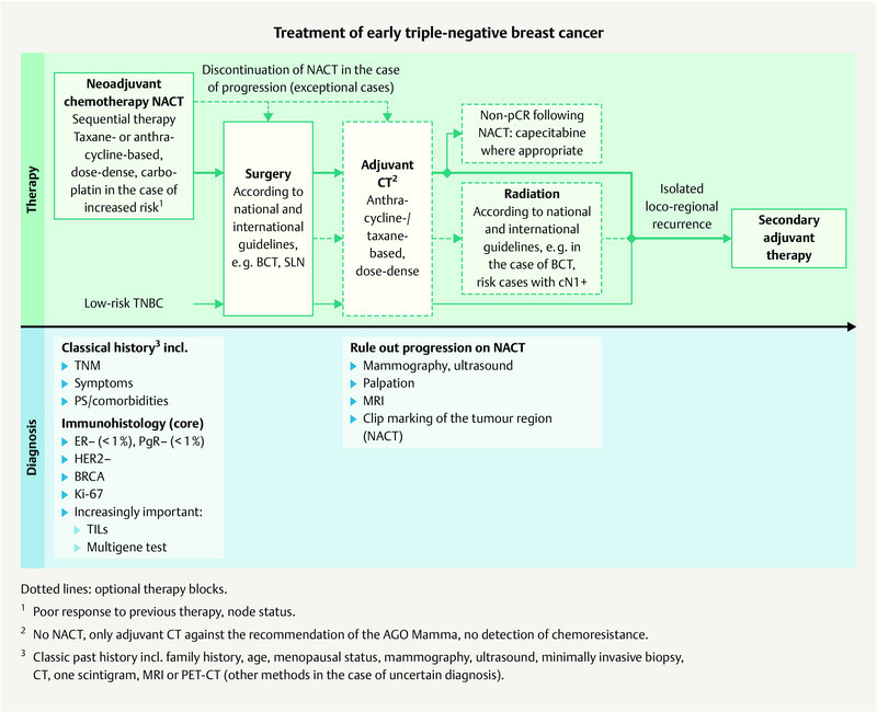 Fig. 1