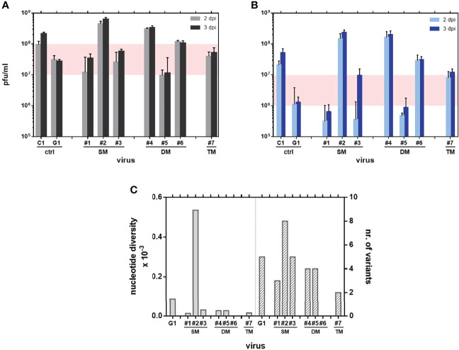 Figure 1