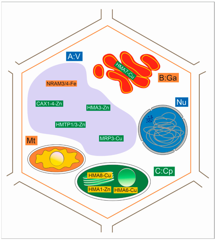 Figure 2