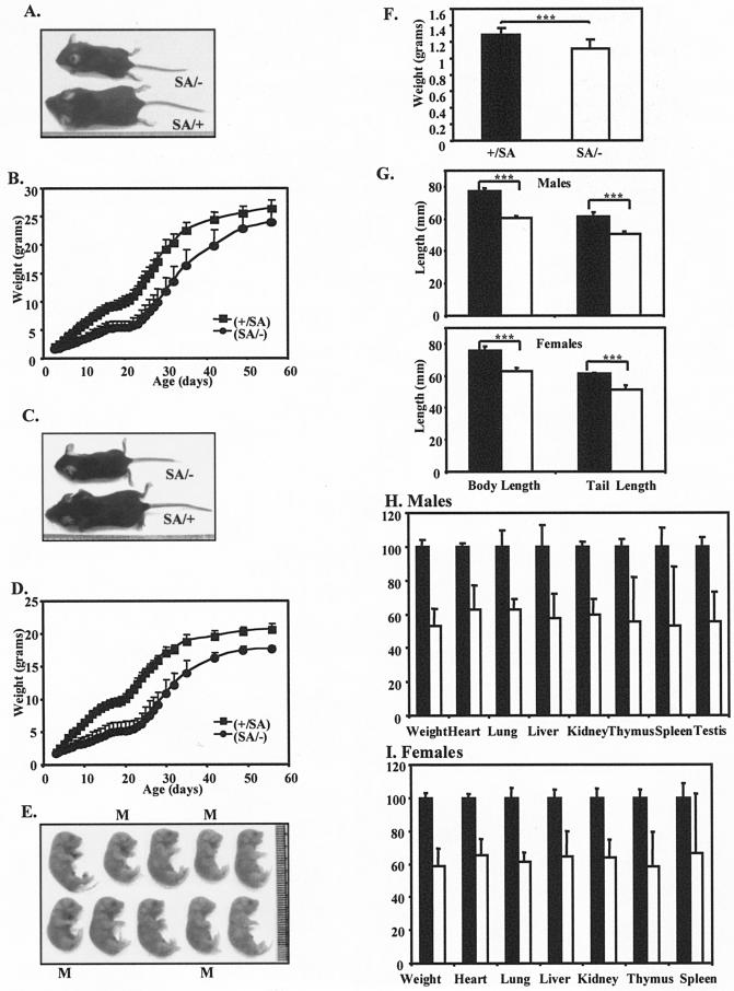 FIG.3.