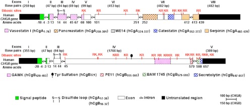 Fig 1.