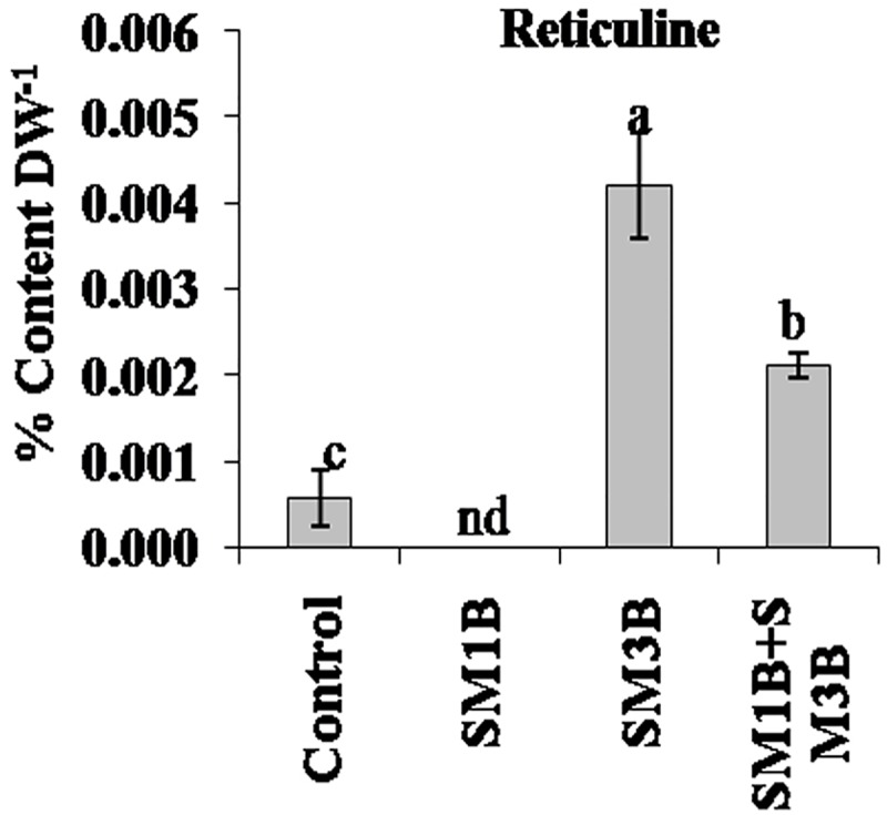 FIGURE 3