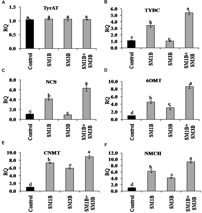 FIGURE 4