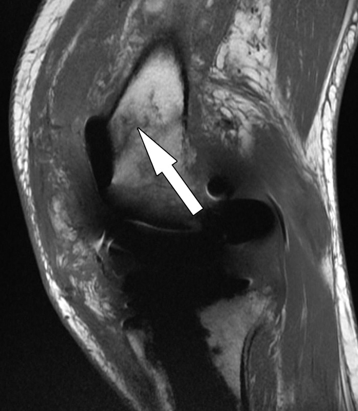 Figure 24