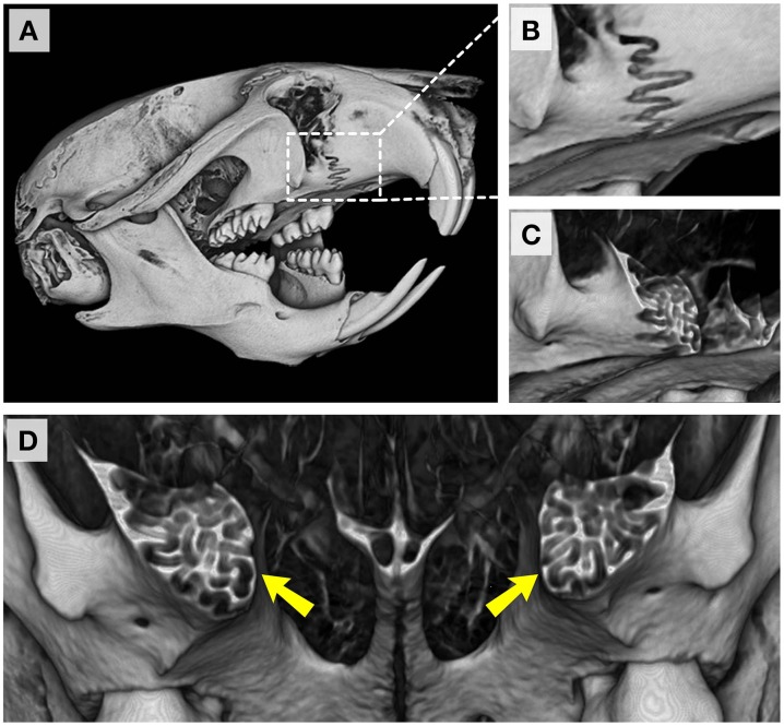 Figure 11