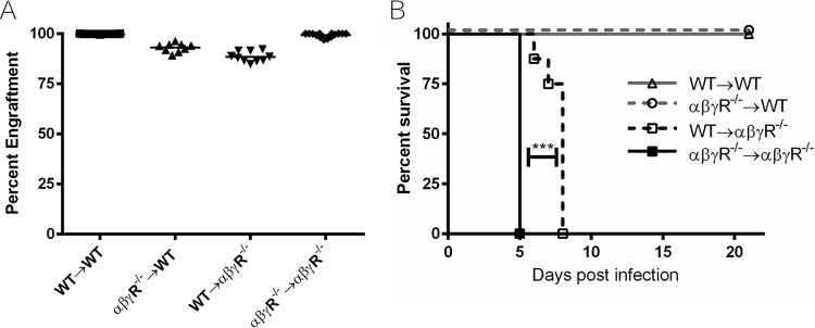 FIG 1