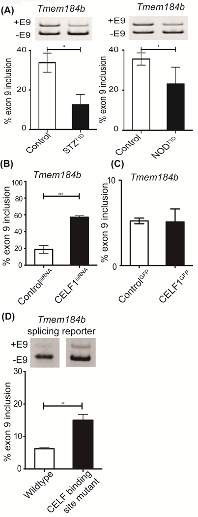 Figure 4: