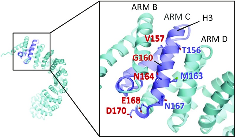 Fig. 5.